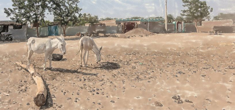 Dorpsplein met ezels in Soedan van Frank Heinz