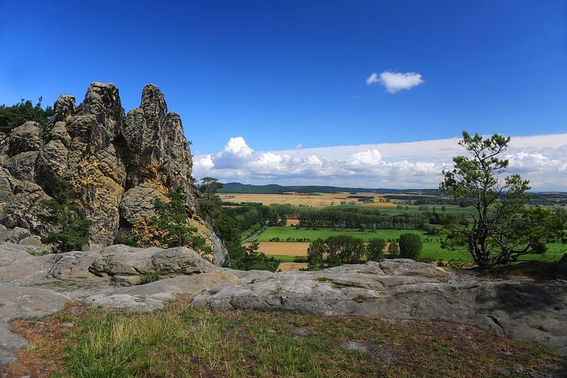 Hamburg coat of arms part of the Devil's Wall near Blankenburg by Karina Gebert