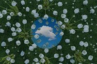 Runder Spiegel reflektiert weisse einzelne Wolke und liegt auf grüner Wiese, von weissen Tulpen und 
