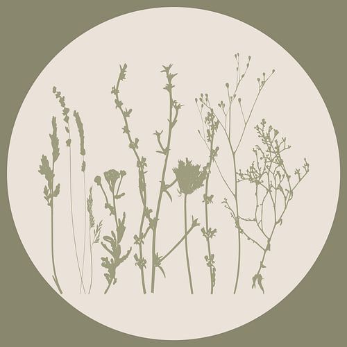 Prairie scandinave Fleurs sauvages minimalistes en vert sauge n° 2