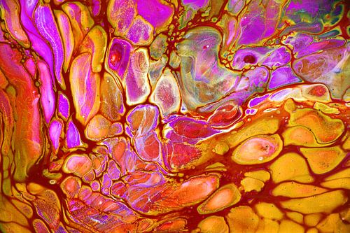 Explosion in Lila von Joke Gorter