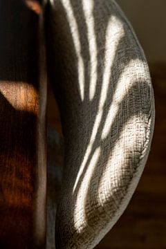 Light and shape play.