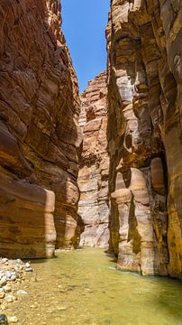 Wadi Mujib in Jordanië van Jessica Lokker