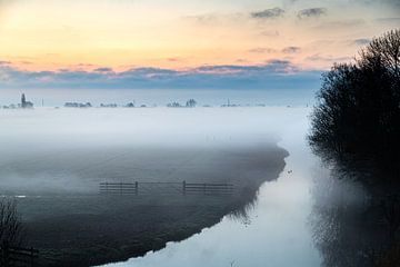 Matin brumeux sur Inge van den Brande