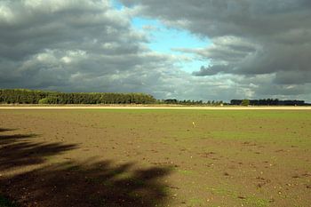 Schatten im turbulenten Polder
