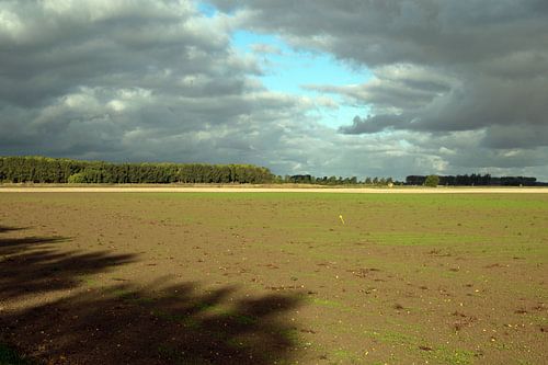 Schatten im turbulenten Polder