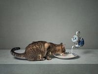 Series Cat behaviour - Dutch milk - (Landscape)