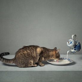 Series Cat behaviour - Dutch milk - (Landscape) by Mariska Vereijken