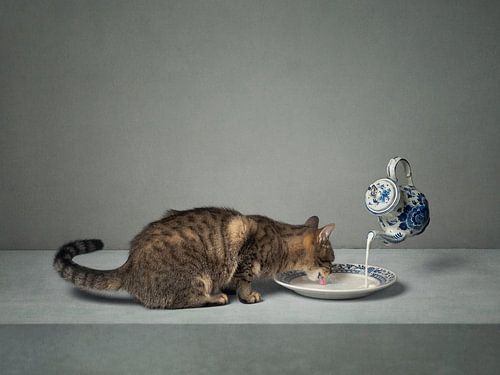 Series Cat behaviour - Dutch milk - (Landscape) by Mariska Vereijken