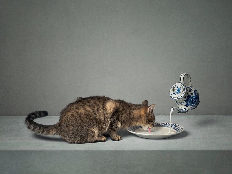 Serie Katzenverhalten - Holländische Milch - (Landschaft) von Mariska Vereijken