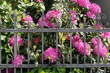 Clôture de jardin décorée