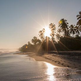 Opkomende zon op het strand met palmbomen in Colombia, Zuid Amerika von Romy Wieffer