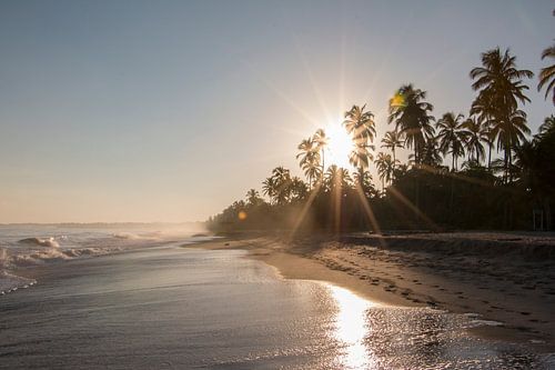 Opkomende zon op het strand met palmbomen in Colombia, Zuid Amerika