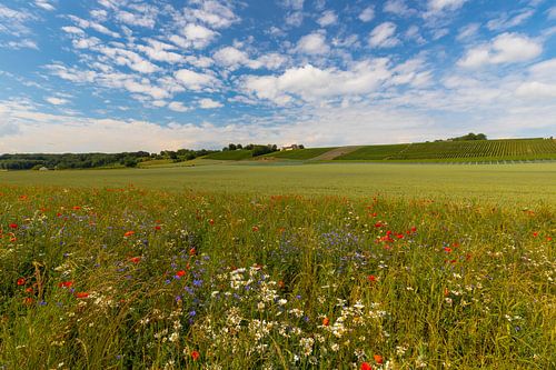 Apostelhoeve maastricht tijdens een schilderachtige zomerdag