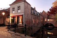 Uilenburg met Binnendieze van Den Bosch - 's-Hertogenbosch   van Jasper van de Gein Photography thumbnail