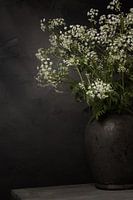 Rural still life with cow parsley in pitcher