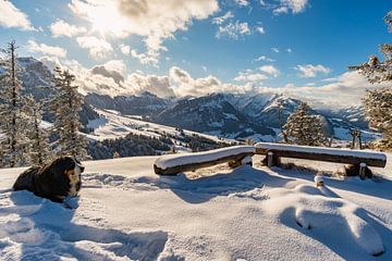Les montagnes d'Alpstein en Appenzell