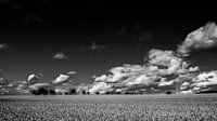 PAYSAGE