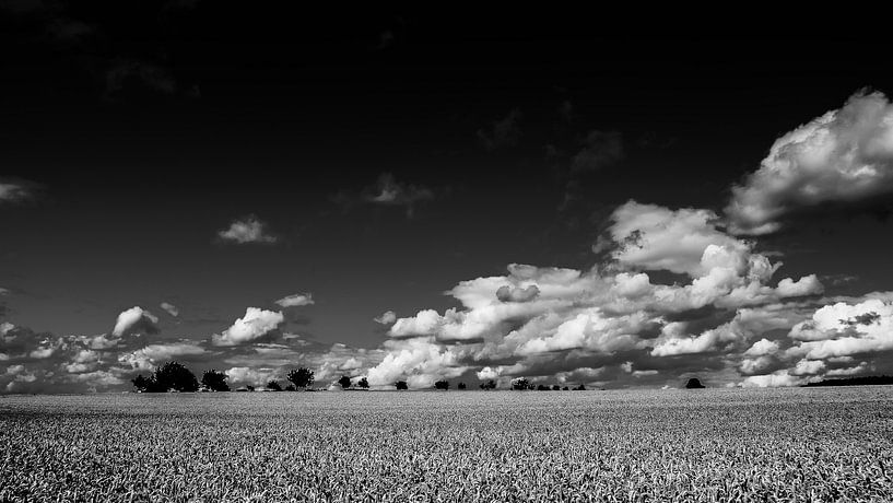 PAYSAGE by JORG BECKER