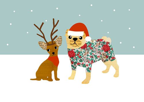 Cute Chihuahua and Pug