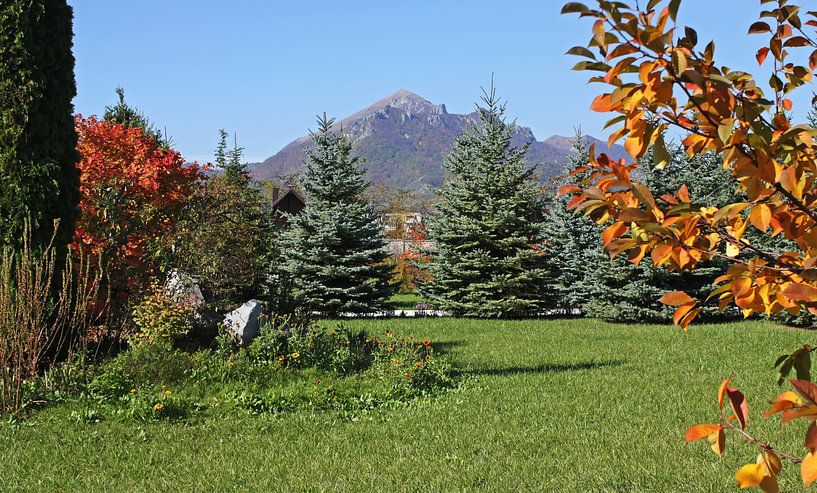 Landschaft mit Bäumen und Bergen von Mikhail Pogosov