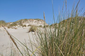 Duinen Terschelling van Mirthe Groen