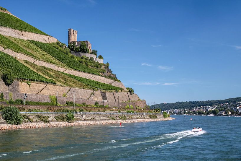 Ruine Ehrenfels am Rhein bei Rüdesheim von Christian Müringer