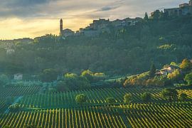 Montepulciano Skyline and Vineyards at Sunrise, Tuscany by Stefano Orazzini