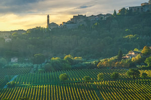 Die Skyline von Montepulciano und die Weinberge bei Sonnenaufgang, Toskana