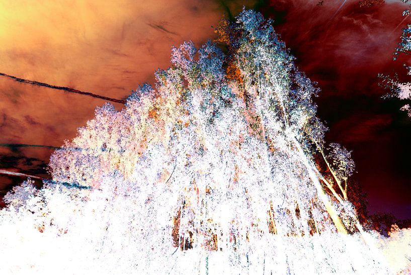 Disturbed Landscape #006 by Peter Baak