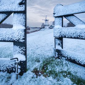 Molen de Vlinder in een Hollands landschap van Moetwil en van Dijk - Fotografie