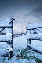 Windmill the Butterfly in a Dutch landscape by Moetwil en van Dijk - Fotografie thumbnail