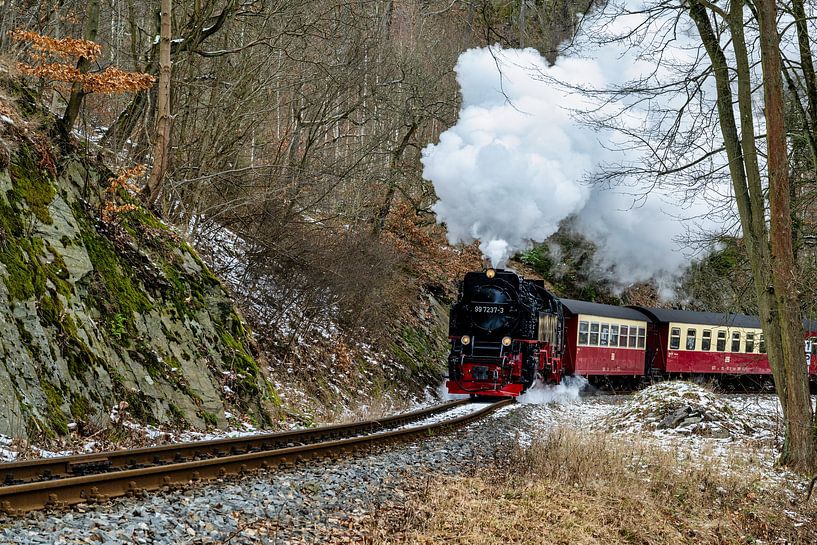 Old railway in the Harz Mountains in Germany by Andreas Völkel