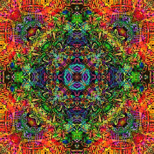 Mandala Liquidlight 6