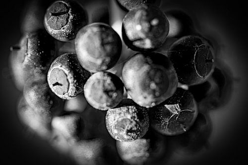 Garten von Kees Goethart