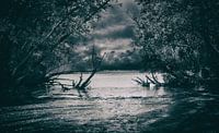 riverside