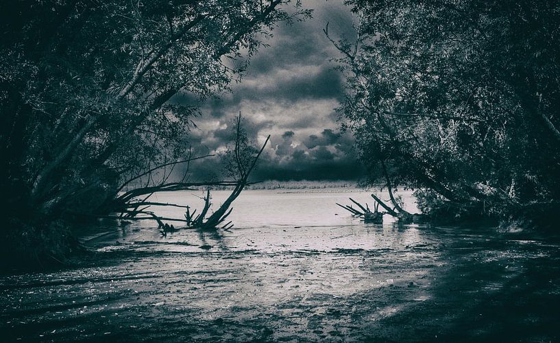 riverside by Jan Brand