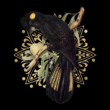 Funeral Cockatoo by Marja van den Hurk