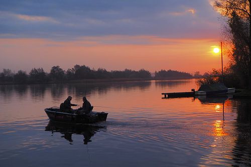 Vissen op het meer van Terherne