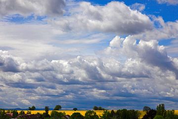 Schilderachtige bewolkte hemel met koolzaadveld van Thomas Jäger