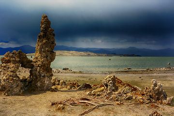 Lac Mono, Amérique sur Ton Bijvank