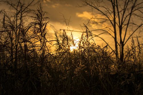 Zonsondergang - Mysterieuze manieren