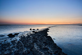 Flüstern des Horizonts von Jessie Logtens