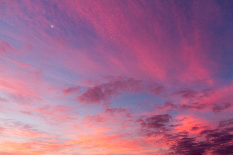 Bye Moon by Hans van Kuijk