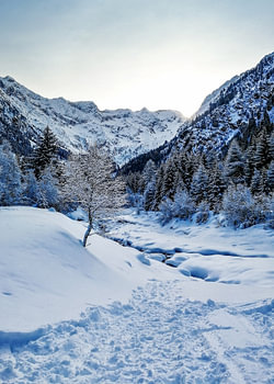 Winter Sunrise over a Snowy Valley in the Italian Alps