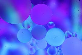 Macro by Patrick Sueters
