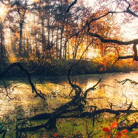 Green River von Sander Rozemuller