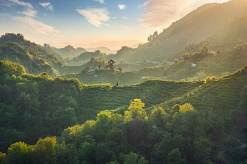 Die unglaubliche Landschaft der Prosecco-Hügel. Italien