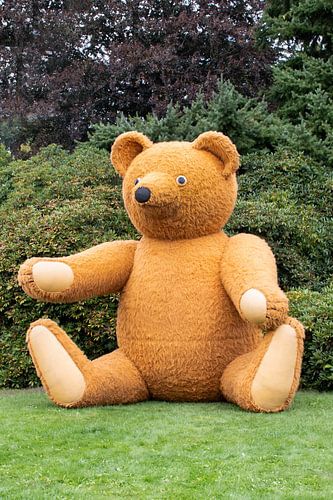 Grote  Teddybeer I