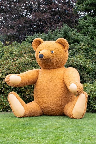 Big Teddy Bear by Klaartje Majoor
